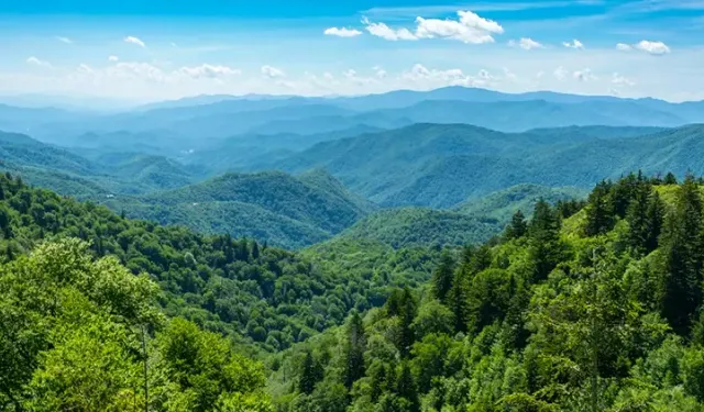 Arazi toplulaştırma ve sınır belirleme kararları düzenlendi