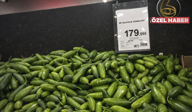 Halde ikiye katlandı, rafta 180 TL’ye dayandı: Salatalıkta bir yılın bilançosu