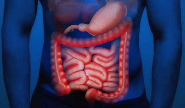 Sosyal medyadaki bağırsak detoksu trendi karaciğerinizi bitirebilir