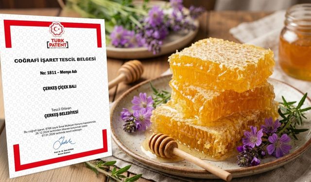 Çerkeş çiçek balı artık coğrafi işaret tescilli!