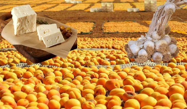 Coğrafi işaretli ürünler yerel ekonomiye değer katıyor