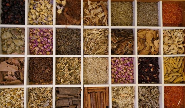 Güneydoğu Anadolu'nun hububat ihracatı arttı