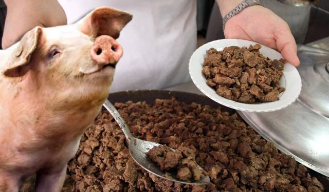 Aydın'da 3 bin kişiye domuz eti yedirdi: "Tehdit" iddiası ortaya çıktı