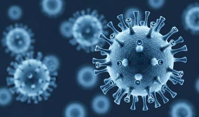 Nipah virüsü Türkiye'ye gelecek mi? Aşısı yok, Covid-19'dan 5 kat daha ölümcül