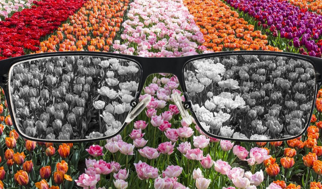 Renk körlüğü nedir? Renk körleri hangi rengi nasıl görür? Tedavisi var mı?