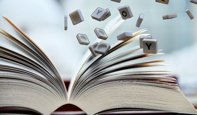 TDK, Türkçe Sözlük 2025 verilerini paylaştı