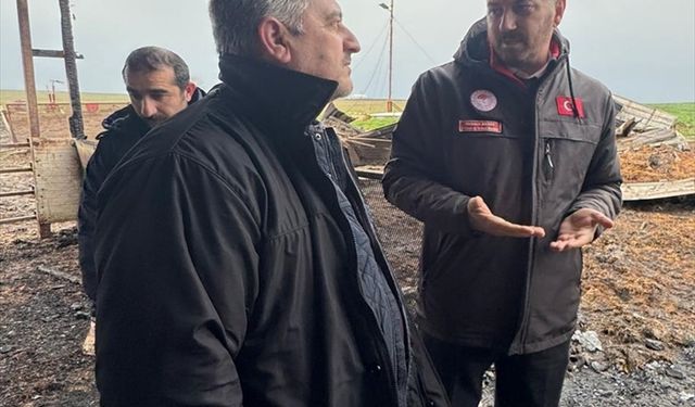 Tekirdağ'da çiftlik faciası: Alevler arasında kalan 100 koyun telef oldu