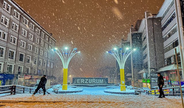 Erzurum'da kar yağışı etkili oluyor