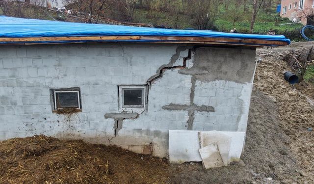 Sinop'ta heyelan: Ahır hasar gördü, yol çöktü