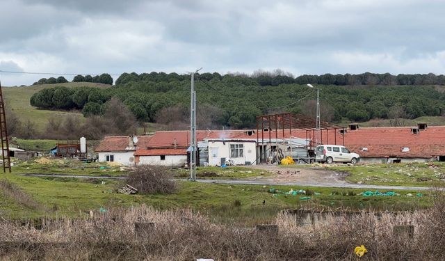 Arnavutköy'de çiftlik evinde dehşet! Elektrikli testereyle saldırdı