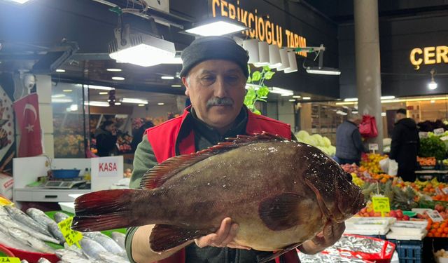 Nadir görünen balık tezgahlarda: Çeyrek altınla yarışıyor