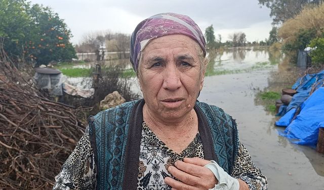 Selde mahsur kalan köpeği AKOM ekipleri kurtardı