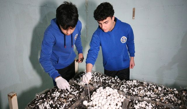 Adanalı liseliler kendi yetiştirdikleri mantarları tüketiyor