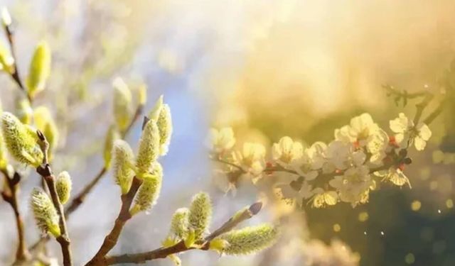 Son cemre düştü mü? Baharın müjdecisi 3. cemre ne zaman düşecek? İşte 2026 cemre düşme tarihleri!