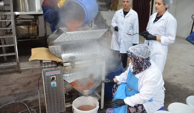 Bilecik'te kadınların ürettiği ayva lokumu ihracata dönüştü