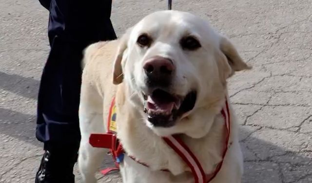 Bolulu "Medyum" emekliye ayrıldı