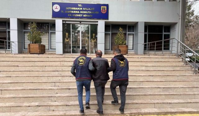 Diyarbakır'da jandarmadan operasyon! 113 şahıs yakalandı