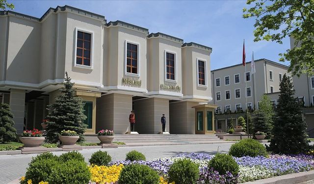 İçişleri Bakanlığı’ndan sokak hayvanları soruşturması: Köyceğiz, Narman ve Hilvan’a inceleme