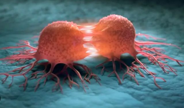 Dünyada her sene 20 milyon kişiye kanser tanısı konuyor