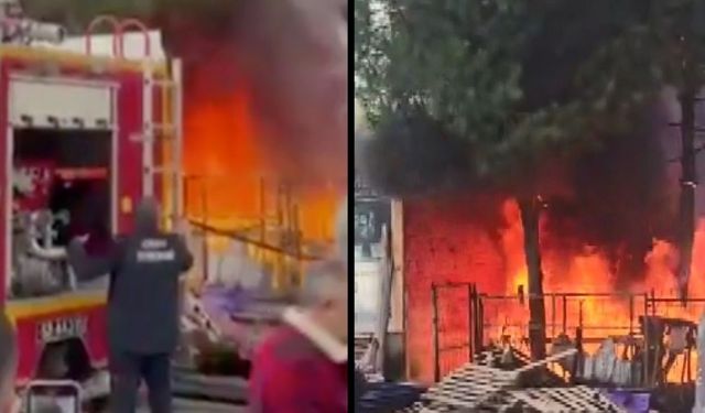 Ordu'da korkutan yangın: Çok sayıda ekip sevk edildi
