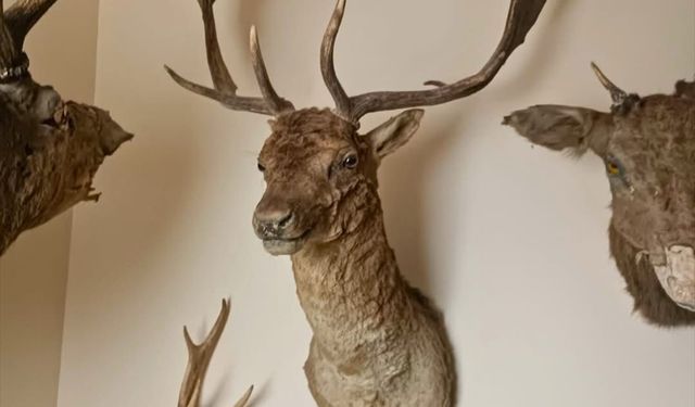 Tekirdağ'da ev değil müze: 40 parçaya el kondu