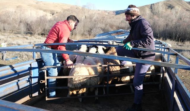 Erzincan’da besiciler 8 aylık göçe başladı