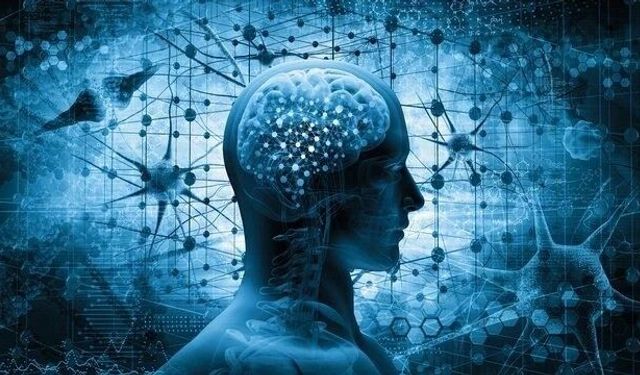 Bilim kurgudan gerçeğe dönüyor: Dondurulan beyin dokusu uyandırıldı