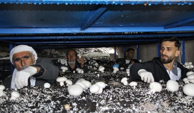 Mağaradan geçim kapısı