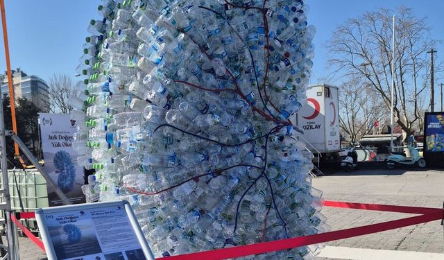 Türkiye’de 72 Bin diyaliz hastası var