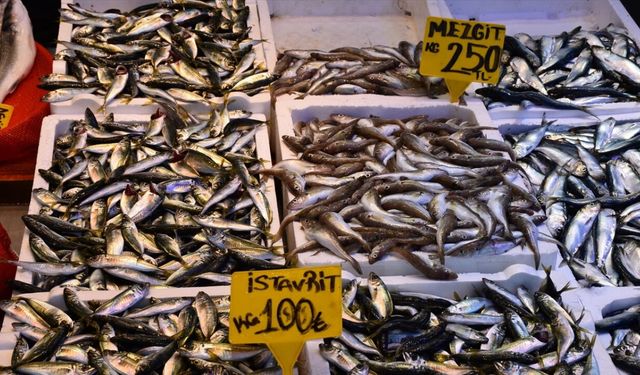 Trabzon'da istavrit ve mezgit tezgahların gözdesi