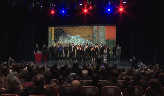 32 sanatçı tek şarkıda buluştu: Sokak hayvanları için anlamlı proje