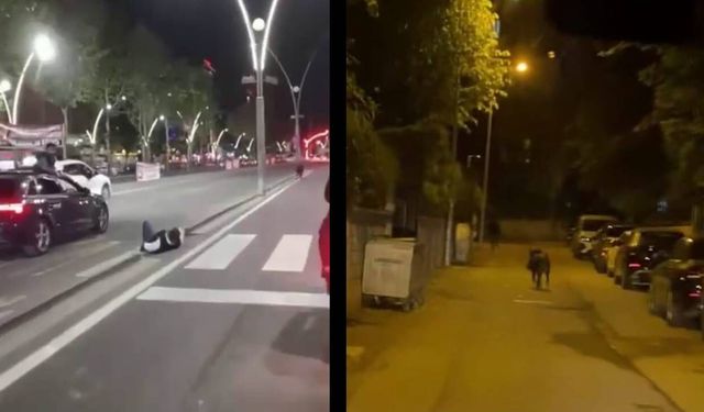 Batman’da domuz kaosu: Yayaya çarpıp yaraladı, trafiği birbirine kattı