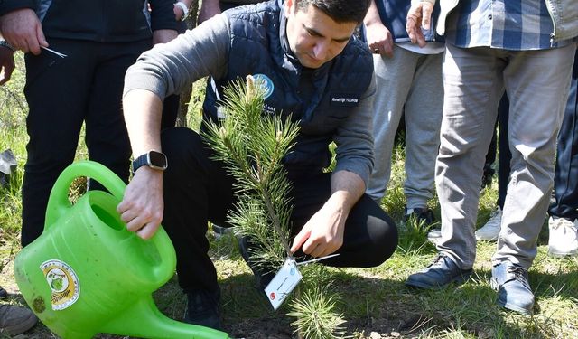 Düzce'de MHP lideri Devlet Bahçeli adına hatıra ormanı oluşturuldu
