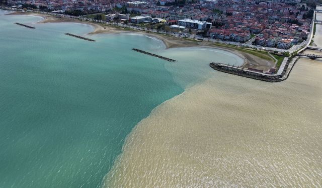 Görenler şaşırdı! Karadeniz kahverengiye döndü