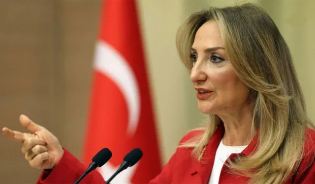CHP’li Nazlı Aka: Çocuklar yasakla değil, hak temelli politikalarla korunmalı
