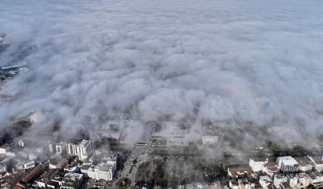 Samsun'un üzerini sis denizi örttü