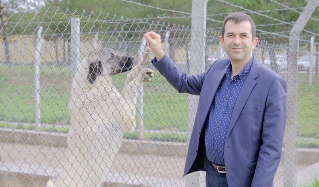 Veteriner hekimler gıda güvencesinin anahtarı