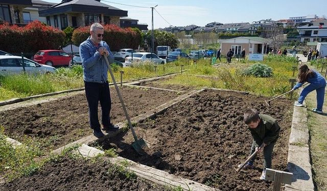 Beylikdüzü hobi bahçeleri’nde fideler toprakla buluştu