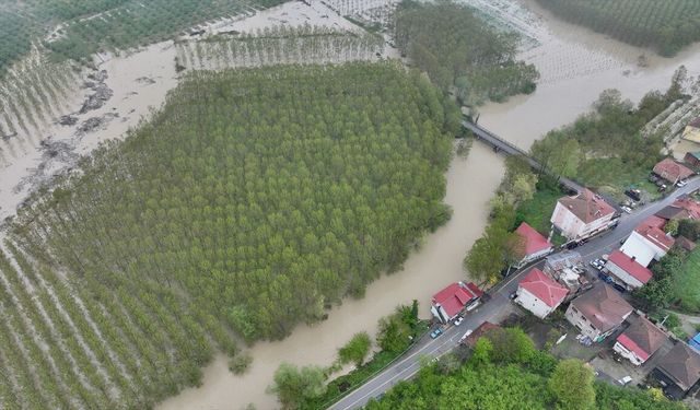 Düzce'de sağanak yağış: Tarım arazilerini ve işletmeleri su bastı