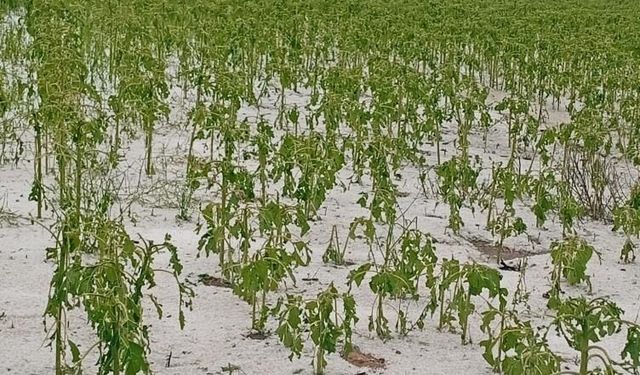 Adana'da dolu yağışı etkili oldu!