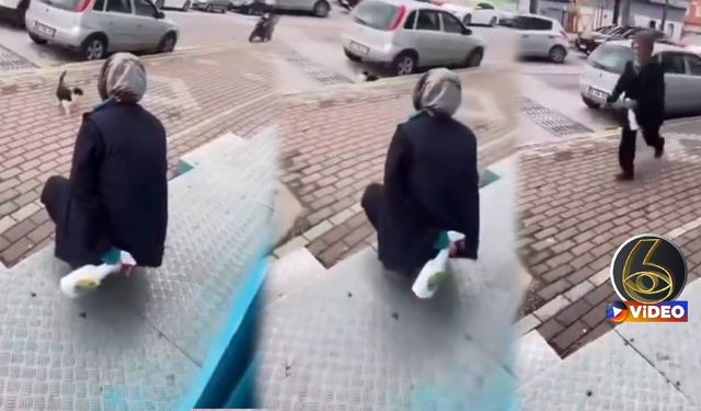 Kedinin gözüne yağ sökücü sıkan ucuzluk marketi çalışanı gözaltına alındı
