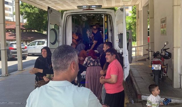 Topladıkları mantar kabusu yaşattı! 7 kişi hastanelik oldu