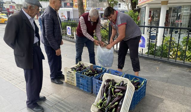 Antalya'da ürettiği patlıcanlar maliyetini kurtarmayınca vatandaşa ücretsiz dağıttı