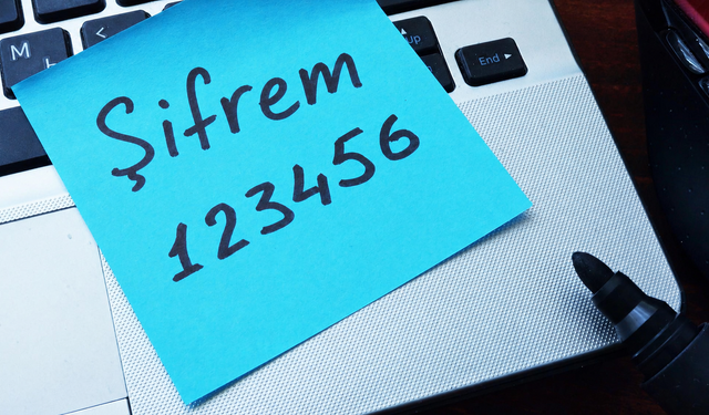 Sizin şifreniz de 123456 mı? Uzmanlar büyük tehlikeye dikkat çekiyor