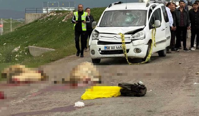 Ticari araç koyun sürüsüne daldı: Çoban öldü, 9 koyun telef oldu