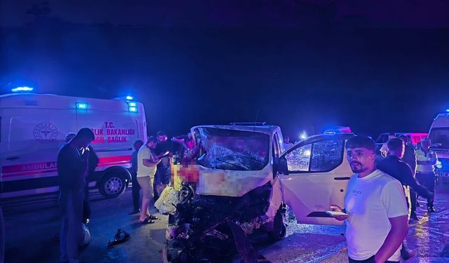 Bingöl’de panelvan yola çıkan ata çarptı: 1 ölü, 2 yaralı