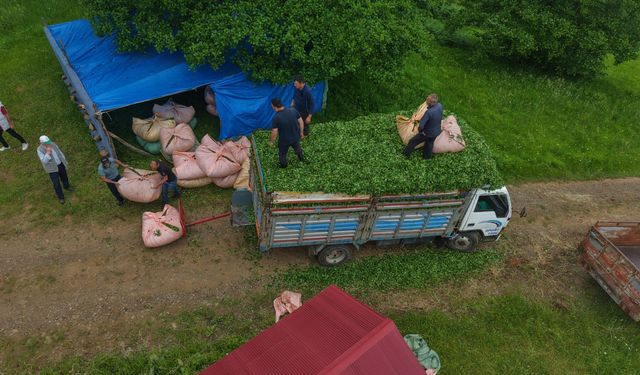 Trabzonlu muhtarın geliştirdiği hidrolik yük kaldırma sistemi Karadeniz'de ilk kez uygulandı