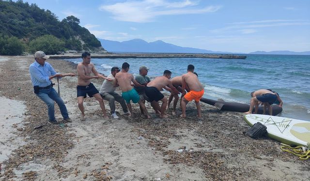 Kuşadası plajında köpekbalığı paniği! Görenler gözlerine inanamadı
