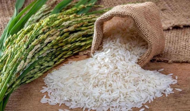 Bafra pirinci artık coğrafi işaretli