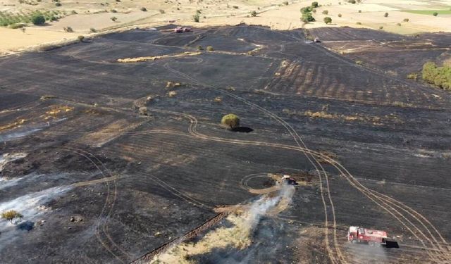 Balıkesir'deki arazi yangını söndürüldü